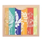 Something Different Botanical Masala Incense Sticks Set (Pack of 6) (SD10071)
