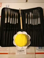 15Pc Professional Artist Soft Paint Brush Set Oil Acrylic Watercolour Art + Case