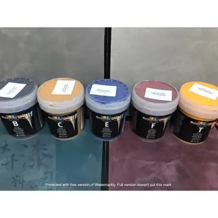 虹牌 電腦調色專用色漿1公升 加拿大進口 超濃縮 展色好 不易退色 色母 色素 適用水性塗料 乳膠漆 水泥漆、防水漆