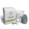 Tilley百年特莉 木蘭花&綠茶香氛大豆蠟燭240g