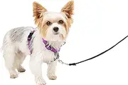 PetSafe 3 in 1 Harness and Car Restraint, Extra Small,Plum, No Pull, Adjustable, Training for Small/Medium/Large Dogs
