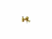Zurn Concealed Flush Valve with Push Button & Isolation Valve WELS RATING 4*