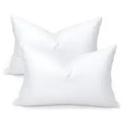 Goose Feather Bed Pillow for Sleeping, Hotel Down Pillows Queen Size Set of 2,