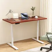 Artiss Electric Standing Desk Sit Stand Desks Motorised Dual Motor 120CM Walnut