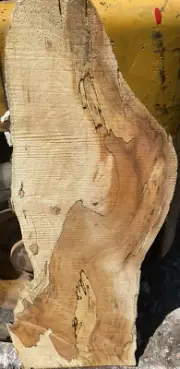 spalted maple slab #1067