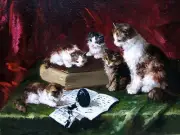 Kittens and ink Accent Tile Mural Kitchen Bathroom Wall Backsplash 8x6