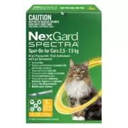 NexGard Spectra Spot On For Cats 2.5 - 7.5kg 6 Pack