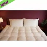 Holy Lamb Certified Organic Wool Bed Pillows King Regular Thickness 20” x 36”