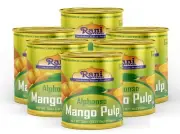 Rani Mango Pulp Puree (Makes Mango Lassi Shakes) Alphonso Sweetened 30oz (6pk)