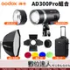 GODOX 神牛 AD300 PRO + AD-R13 + BD-10 專用四頁 + AD-S60S柔光罩 + CB-17拉桿箱