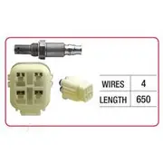 RAE Oxygen Sensor - OX417