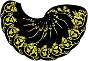 HAMPPLIES 10Pcs Self Adhesive Acoustic Guitar Pickguard Scratch Protector Water Drop Shape Decorative Guard for Folk Guitar Easy to Install Smooth Surface Prevents Scratches