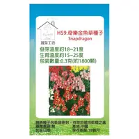 在飛比找momo購物網優惠-【蔬菜工坊】H59.奇樂金魚草種子