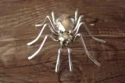Navajo Indian Sterling Silver Spider Pin by Garfield
