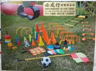 【綠色大地】華森葳兒童教玩具 感覺統合系列 6米 大氣球傘 氣球拉力傘 幼兒 配合核銷