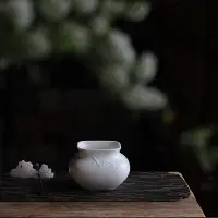 在飛比找Yahoo!奇摩拍賣優惠-茶藝師 挑tea｜臺灣敦睦窯浮雕白瓷建水茶洗陶瓷水盂洗杯家用