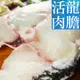 【南海豐】活肉龍膽石斑魚片