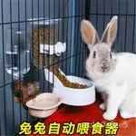 飼料盒 兔子自動餵食器防浪費食盆寵物餵水器喫草餵食槽用品小兔子飲水器