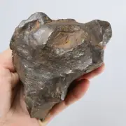 1125g Gebel Kamil iron meteorite, Egypt, Space Gift, meteorite, specimen R1710