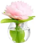 NEW Mikuni humidifier a little oasis baby baby pink U507-04 Eco