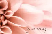 Happy Congratulations Engagement Proposed You're Engaged Lucky Greeting Card