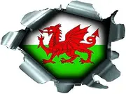 SPEED DEMONS PRIDE BURST RIP TORN TEAR STICKER GRAPHIC SELF ADHESIVE FOR ANY SURFACE INCLUDING LAPTOPS AND CARS - WALES WELSH FLAG FOOTBALL RUGBY