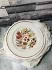 X6 Pyrex Harvest Spray Plates 24 Cm Across Vintage 1970s New