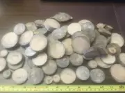 Wooden Slices Driftwood Log Discs Round Wedding Rustic Crafts Pyrography W60
