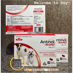 🚚現貨【原廠雷射防偽標籤 】安適得® 酷版 Antinol® Rapid（60顆/150顆 犬貓適用）