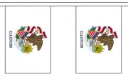 ILLINOIS U.S. STATE 3 metre BUNTING 10 FLAGS flag USA AMERICA AMERICAN