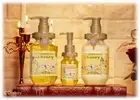 &honey Melty Moist Repair Shampoo & Treatment & Hair Oil And Honey Disney Belle