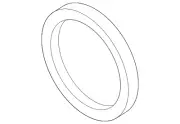 Genuine Porsche Differential Assembly Seal N-013-806-3 (for: Porsche)