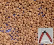 10 lbs. BLACK WALNUTS in the shell - Fall 2024 crop - for eating/baking + SNIPS