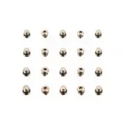 SRAM Lever Bleed Screw 20pcs