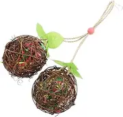 FONDOTIN Safe Parrot Chewing Toy Large Bird Cage Toy Hanging Wooden for Parrots