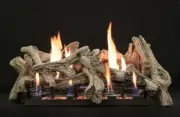 Empire White Mountain Driftwood Burncrete Log Set, 10-pc, 24" Logs Only