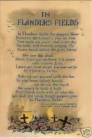 WW II - USA -Photo -- ..In Flanders Field ...