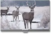 [VFMKT] Slim Metal Business Card Holder Portable Business Card Case Pocket Name Card Holder Deer on Frozen Wilderness Wallet for Men Women Office Travel, style, One Size