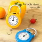 Hanging Scale Portable Stainless Steel Hook High Precision Digital for Home