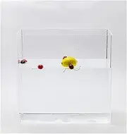 Acrylic Props Shooting Tray, Acrylic Photography Shooting Water Tank Display Case Storage Showcase 50x(10-30) x15cm 3mm(50x30x15cm(19.7x11.8x5.9in))