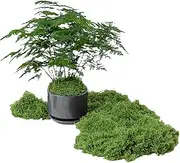 100g Fake Moss Artificial Moss, Simulated Moss, Turf Artificial Moss, Landscape Moss, Synthetic Moss, Artificial Moss for Planters, Artificial Green Moss Faux Moss for Potted Plant (Dark Green) 3.5oz
