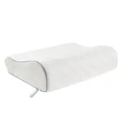 Sealy Dreamlife Contour Memory Foam Pillow