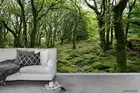 3D Deep Forest Wallpaper Wall Mural Removable Self-adhesive 98