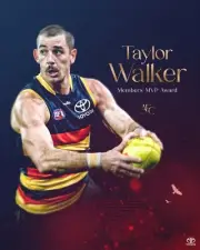 BIG 420mm ADELAIDE CROWS AFL FOOTBALL CHAMPION TEAM PLAYER POSTER,BARGAIN,2
