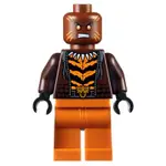 【樂富】全新 盒組拆出 LEGO 樂高 76160 超級英雄 BRONZE TIGER 青銅虎 SH661