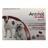 在飛比找蝦皮購物優惠-Antinol Rapid安適得酷版 犬貓關節保健食品60粒