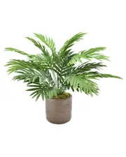 Creative Displays Areca Palm In A Brown Fiberstone Pot