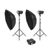 Godox 1200W (2x QT600IIIM 600W) HSS Professional Flash Strobe Lighting Kit - ...