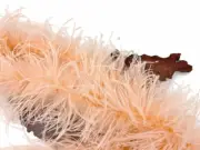 2 Yards - Champagne 3 Ply Ostrich Feather Fluffy Boa Wedding Dress Costume Boa