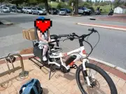 Reward - unique Yuba Spicy Curry e cargo bike perth/freo